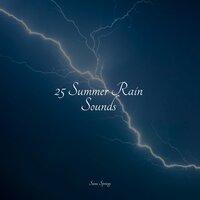 25 Summer Rain Sounds