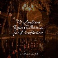 40 Ambient Rain Collection for Meditation