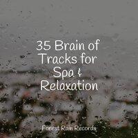 35 Brain of Tracks for Spa & Relaxation