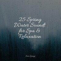 25 Spring Water Sounds for Spa & Relaxation