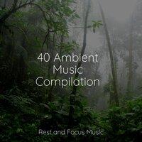 40 Ambient Music Compilation