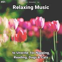 #01 Relaxing Music to Unwind, for Napping, Reading, Dogs & Cats