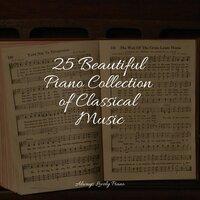 25 Beautiful Piano Collection of Classical Music