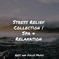 Stress Relief Collection | Spa & Relaxation