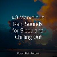 40 Marvelous Rain Sounds for Sleep and Chilling Out