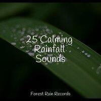 25 Calming Rainfall Sounds