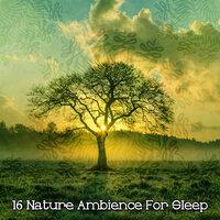 !!!! 16 Природа Атмосфера для сна !!!!