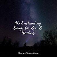 40 Enchanting Songs for Spa & Healing