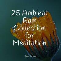 25 Ambient Rain Collection for Meditation