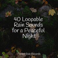 40 Loopable Rain Sounds for a Peaceful Night