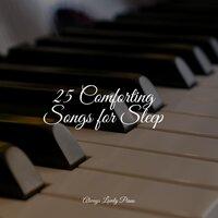 25 Comforting Songs for Sleep