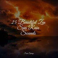 25 Beautiful Zen Spa Rain Sounds