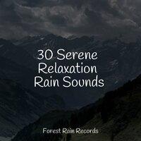 30 Serene Relaxation Rain Sounds
