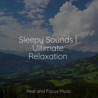 Sleepy Sounds | Ultimate Relaxation