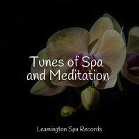 Tunes of Spa and Meditation