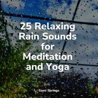 25 Relaxing Rain Sounds for Meditation and Yoga