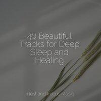 40 Beautiful Tracks for Deep Sleep and Healing