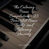 The Calming Piano Compilation - 25 Beautiful Piano Tracks  and Relaxing Anxiety