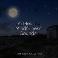 35 Melodic Mindfulness Sounds