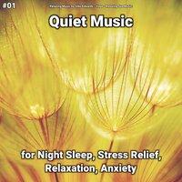 #01 Quiet Music for Night Sleep, Stress Relief, Relaxation, Anxiety