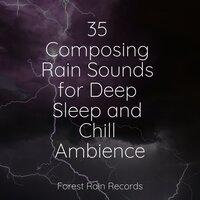 35 Composing Rain Sounds for Deep Sleep and Chill Ambience