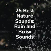 25 Best Nature Sounds: Rain and Brow Sounds
