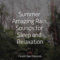 Summer Amazing Rain Sounds for Sleep and Relaxation