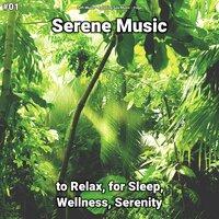 #01 Serene Music to Relax, for Sleep, Wellness, Serenity