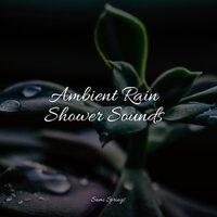 Ambient Rain Shower Sounds