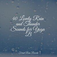 40 Lovely Rain and Thunder Sounds for Yoga B