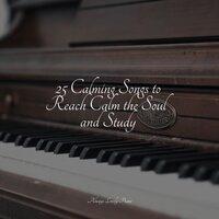 25 Calming Songs to Reach Calm the Soul and Study