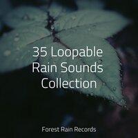 35 Loopable Rain Sounds Collection