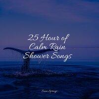 25 Hour of Calm Rain Shower Songs