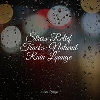 Stress Relief Tracks: Natural Rain Lounge