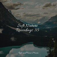 Soft Nature Recordings 35