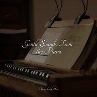 Gentle Sounds From the Piano