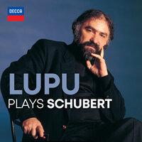 Lupu Plays Schubert