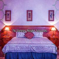 76 Звуки сонной ночи