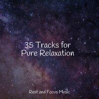 35 Tracks for Pure Relaxation