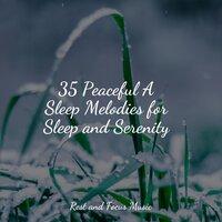 35 Peaceful A Sleep Melodies for Sleep and Serenity