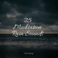 25 Meditation Rain Sounds