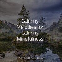 Calming Melodies for Calming Mindfulness