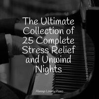 The Ultimate Collection of 25 Complete Stress Relief and Unwind Nights