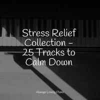 Stress Relief Collection - 25 Tracks to Calm Down