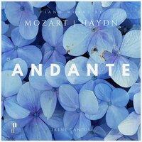 Andante. Piano Works by Mozart and Haydn