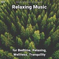 #01 Relaxing Music for Bedtime, Relaxing, Wellness, Tranquility