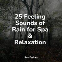 25 Feeling Sounds of Rain for Spa & Relaxation