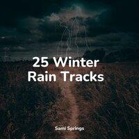 25 Winter Rain Tracks