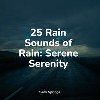 25 Rain Sounds of Rain: Serene Serenity