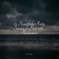 25 Beautifully Rain Sounds for Sleep and Relaxation